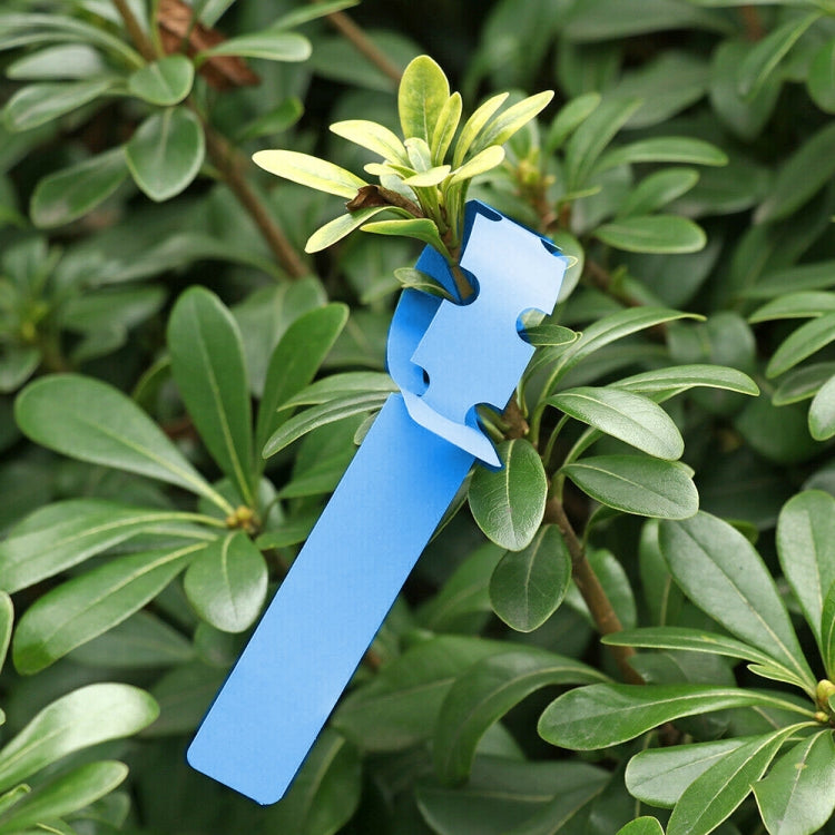 100 PCS Gardening Plant Sapling Seed Hanging Tree Label — Green