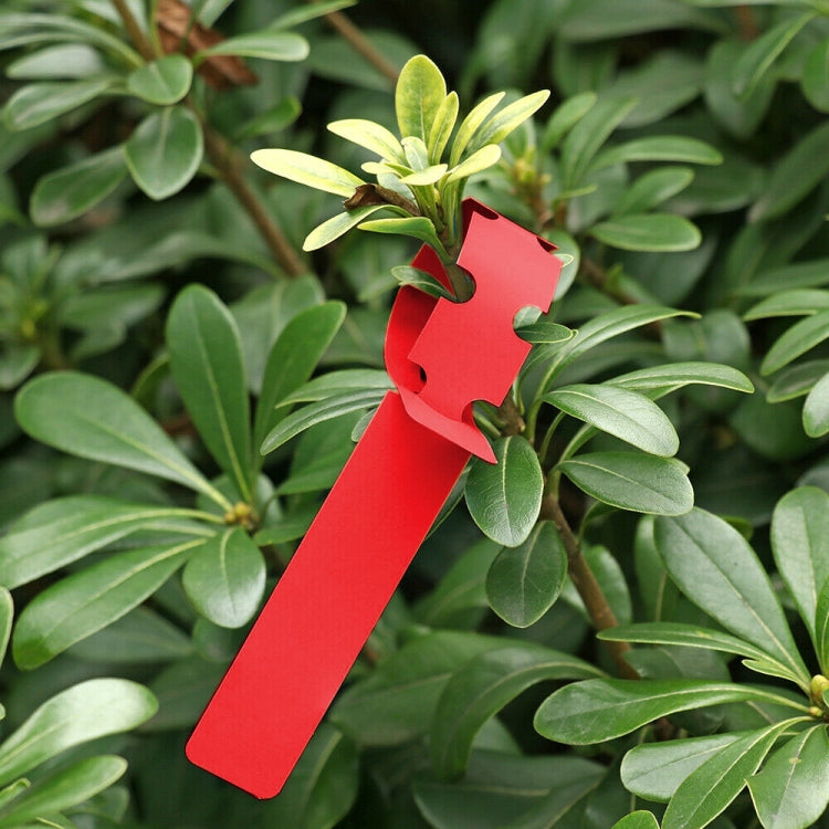 100 PCS Gardening Plant Sapling Seed Hanging Tree Label — Blue