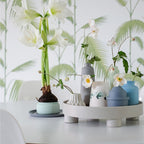 Multifunctional Storage Fruit Tay Cup Perfume Debris Desktop Decoration Plate Tray