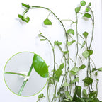 10 PCS Lulu Climbing Wall Fixer Vine Climbing Wall Sticking Hook — 10pcs Small (White)