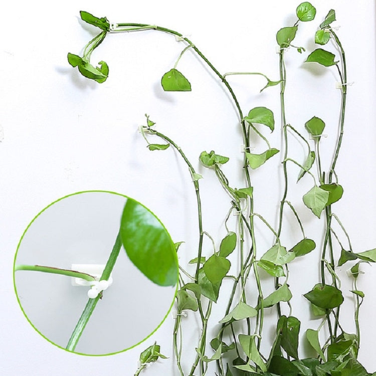 10 PCS Lulu Climbing Wall Fixer Vine Climbing Wall Sticking Hook — 10pcs Small (White)