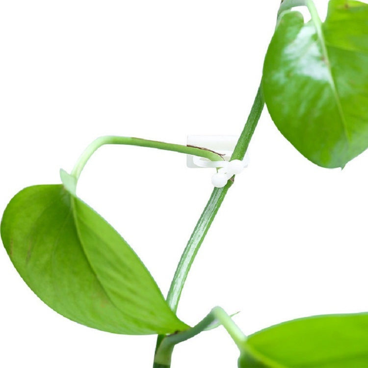 10 PCS Lulu Climbing Wall Fixer Vine Climbing Wall Sticking Hook — 10pcs Medium (White)
