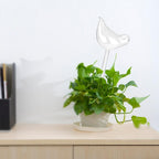 Bird Shape Flowers Plant Automatic Self Clear Glass Watering Device Watering Cans — view 6