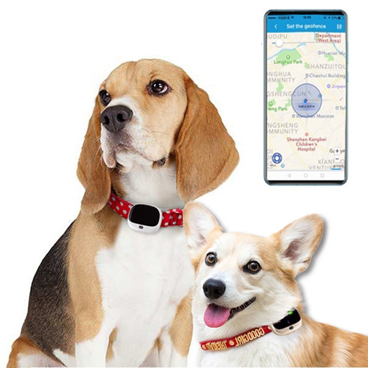 RF-V43 A Style IP67 Waterproof GPS + LBS + WiFi Pet Locator Pet Collar Tracking Device For Asia/Europe/Africa/Australia — view 15