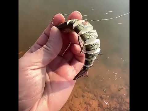 HENGJIA 17.8cm 38g 8 Section Fish Fake Bait(1) - YouTube Video