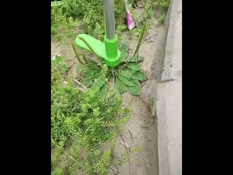 Weed Puller Weeding And Digging Artifact Tool Manual Weeding Tool - YouTube Video
