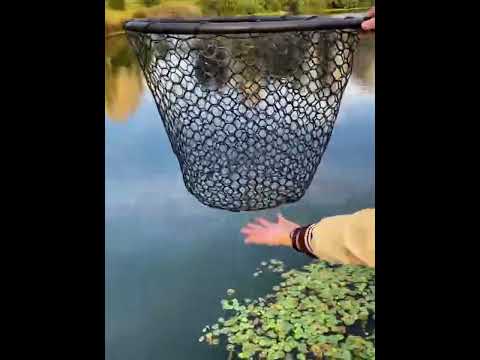 SP037F Lure Honeycomb Silicone Floating Landing Net - YouTube Video