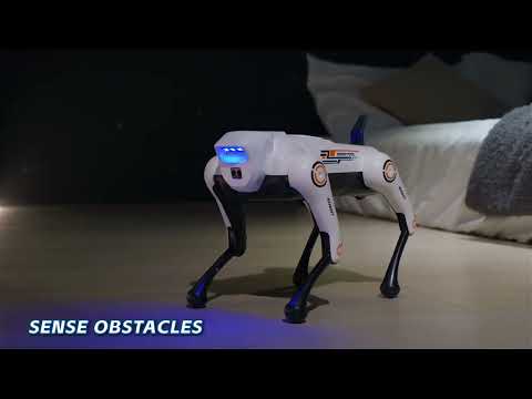 JJR/C R39 Smart Remote Control Robot Dog, Specification:No Voice Control(Silver) - YouTube Video