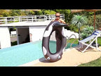 Inflatable Black Whale With Net Hammock Swimming Deck Chair With Backrest Floating Bed - YouTube Video