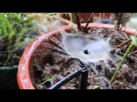 FH-118 13cm Adjustable 8 Holes Ground Plug Dripper Garden Irrigation System Watering Nozzle(Red Hat) - YouTube Video