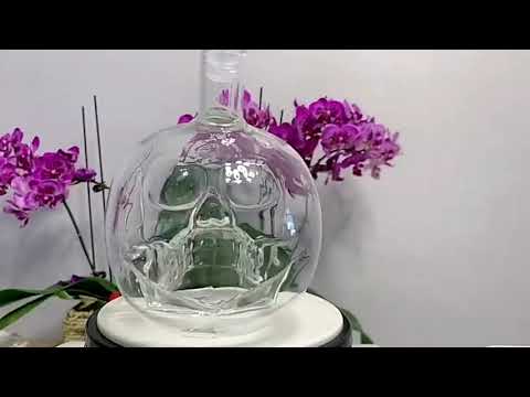 Crystal Glass Skull Bottle for Vodka & Whiskey & Beer Liqueur & Red Wine & Other Beverage, 350ML - YouTube Video