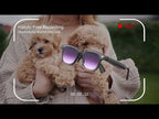 A2 8MP HD Smart Camera Glasses, Support AI Translation / AI Assistant / Bluetooth Calling(Purple) - YouTube Video