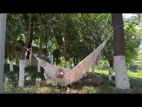 200x150cm Double Outdoor Camping Tassel Canvas Hammock with Stick(Colorful Stripes) - YouTube Video