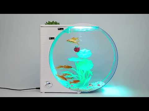 USB Jellyfish Fish Tank Multifunctional Electronic Mini Jellyfish Box(White) - YouTube Video