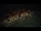Outdoor Hollowing Out Solar Energy Garden Lawn Lamp(White Light) - YouTube Video