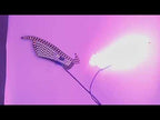 Demon Eye Car LED Display Retrofit Ambient Light(XL-15) - YouTube Video