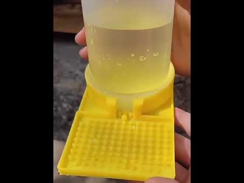 Multifunctional Drinking Box Bee Feeder - YouTube Video