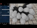 S14 IP65 Waterproof RGBIC WiFi BLE App Remote Control Smart WiFi String Lights 12M 20 Bulbs - YouTube Video