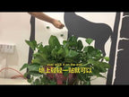 10pcs /Pack Vines Green Plants Indoor Finishing Clips Green Dill Fixer(Green) - YouTube Video