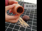 Kitchen Hotel Mushroom Shaped Wood Toothpick Box - YouTube Video