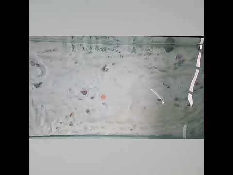 4 PCS HEGNJIA SP071 7cm 21g Seabass Sequin Lure(1) - YouTube Video