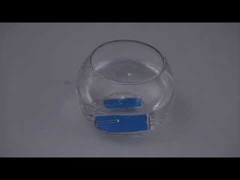 Fish-Attracting Light Water-Activated Flashing Light Fish-Gathering Light, Spec: Single Light - YouTube Video