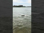 D50 High Speed Smart Remote Control Fishing Bait Boat Support Dragging Net, Plug:EU Plug - YouTube Video