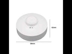 220V Body Sensor Microwave Sensor Switch For Moving Objects - YouTube Video