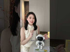 OBC8 AI Smart Companion Robot Toy(White) - YouTube Video