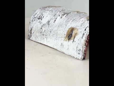 S Aquarium Birch Shape Hiding House Reptiles Lizards Aquascape - YouTube Video