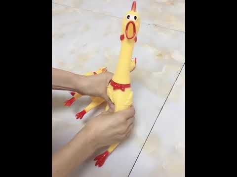 40cm Interesting Toy Stress-Relieved Screaming Hen Shrilling Chicken Relief Squeezed Gift - YouTube Video