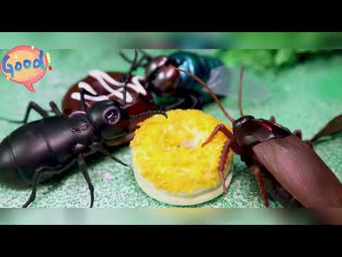 9995 Infrared Sensor Remote Control Simulated Crab Creative Children Electric Tricky Toy Model (Green) - YouTube Video