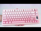 AULA S75 Pro 80 Keys wired/2.4G/Bluetooth Three Model Customizable Gradient Mechanical Keyboard(Side Engraving Pink) - YouTube Video