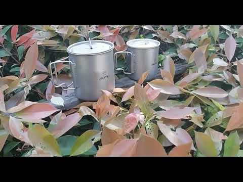 AOTU AT6652-1 Outdoor Portable Titanium Cup 750ml(Silver) - YouTube Video