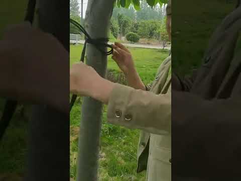 Outdoor Hammock Nylon Parachute Cloth Travel Camping Swing, Style: 2.7m x 1.4m (Black+Gray) - YouTube Video