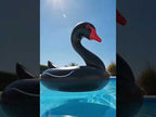 Swan Shaped Inflatable Floating Swimming Safety Pool Ring, Inflated Size: 110cm (Black) - YouTube Video