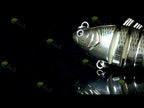 HENGJIA 10cm 24g Bionic Multi-Section Fish Bait Plastic Electroplating Fake Bait(3) - YouTube Video