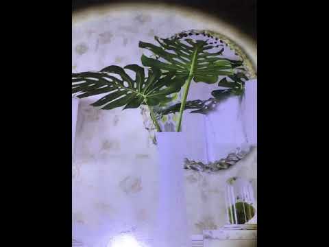 A2 USB Charging Waterproof Zoomable XPE + COB Flashlight with 3-Modes & Storage Box - YouTube Video