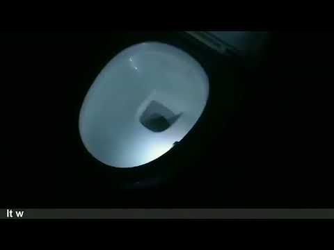 16-colors PIR Motion Sensor + Light Sensor UV Sterilization Aromatherapy LED Light, Home Toilet Bathroom Seat Night Light, DC 5V - YouTube Video