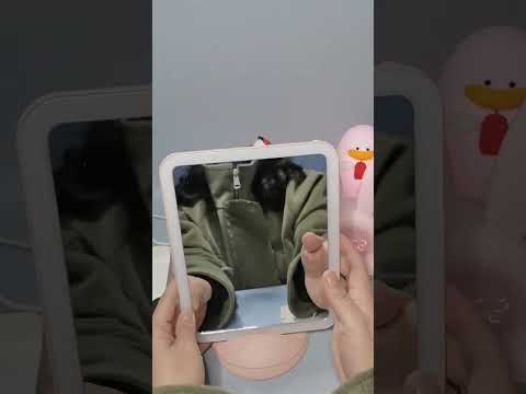Flydee FD008-1 Portable LED Makeup Mirror With Bracket Wall Hanging Vertical Dual-Use Makeup Mirror(Pink) - YouTube Video