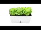 Family Balcony Rectangular Plastic Self-Absorbent Vegetable Growing Pot Flower Pot, Style: SC01 Extra Large Pot  - YouTube Video