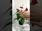 Artificial Flower Calla Plant Potted Home Decoration Green Plant(Orange) - YouTube Video