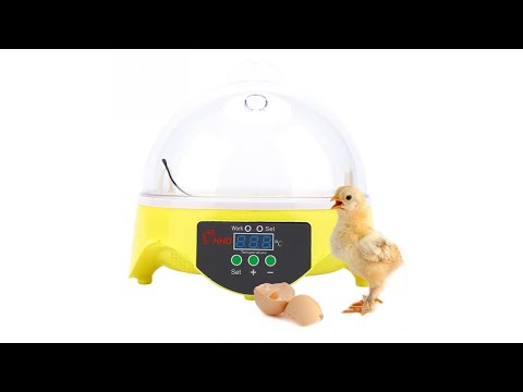 YZ9-7 Egg Capacity Incubator Electronic Incubator Tool Hatcher - YouTube Video