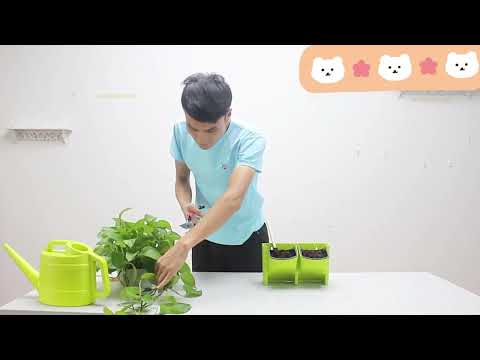 PP Planter Flower Pot Wall Hanging Garden Hanging Stackable Garden Supplies(Green) - YouTube Video