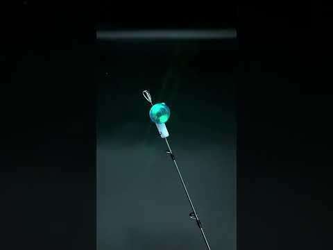 Night Fishing Electronic Rod Tip Light Rod Tip Sound and Light Sensor Light(White) - YouTube Video