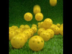 PGM 10 PCS Golf Indoor Exercise Hollow Ball - YouTube Video