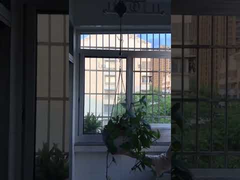 Plant Pulley Adjustable Heavy Duty Hanging Hooks Plant Hangers for Hanging Planters - YouTube Video