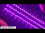 Module Light Strip, 20x 3-LED RGB Light 5050 SMD LED, DC 12V - YouTube Video