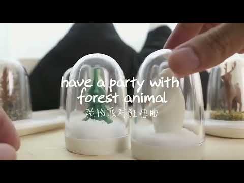 4 in 1 Kitchen Animals Cartoon Shape Seasoning Bottle Set - YouTube Video