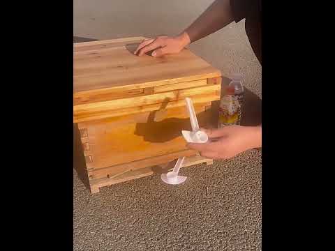 10 PCS Duckbill Type Water Feeder Nest Door Feeder Multi-function Bee Sugar Feeder Beekeeping Tool Supplies - YouTube Video
